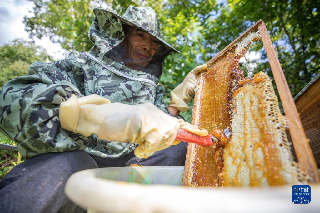 澳门二十一点游戏
